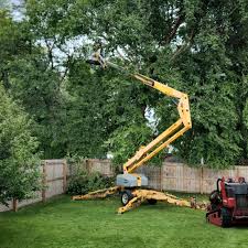 Best Lawn Mowing  in Eastlawn Gardens, PA