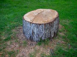 Best Lot and Land Clearing  in Eastlawn Gardens, PA