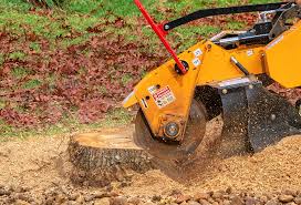 Seasonal Cleanup (Spring/Fall) in Eastlawn Gardens, PA